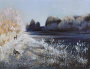 Chevreuil dans paysage de givre