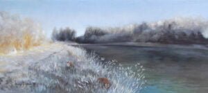 Renards dans un paysage de givre