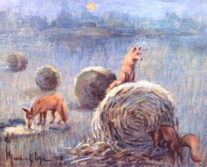 Renards et boules de foin